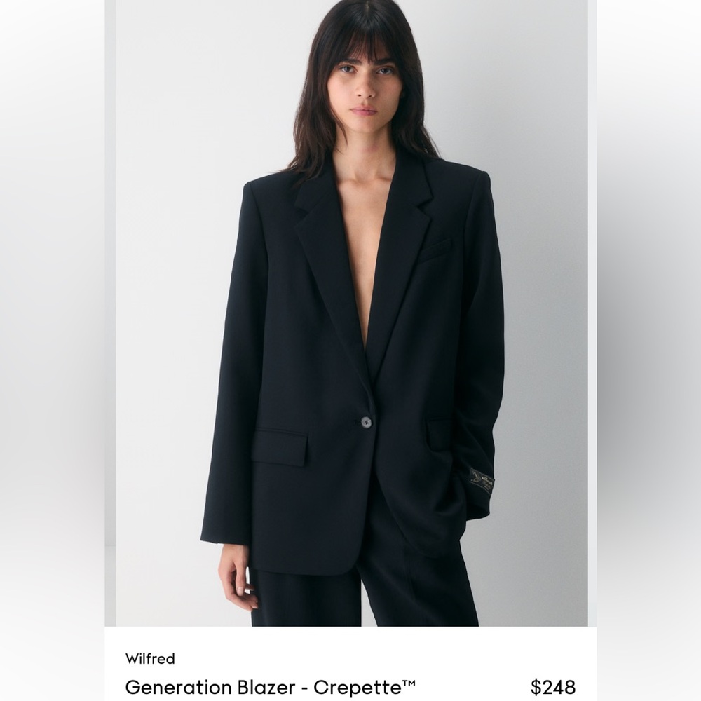 Aritzia Babaton New Generation Blazer